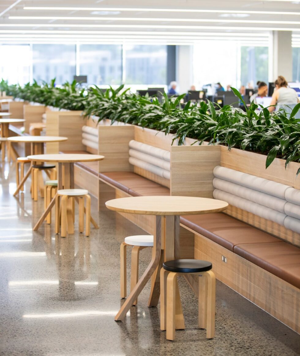 Buildcorp_NewBuild_CommunitySporting_CricketNSW_Carousel2D-min