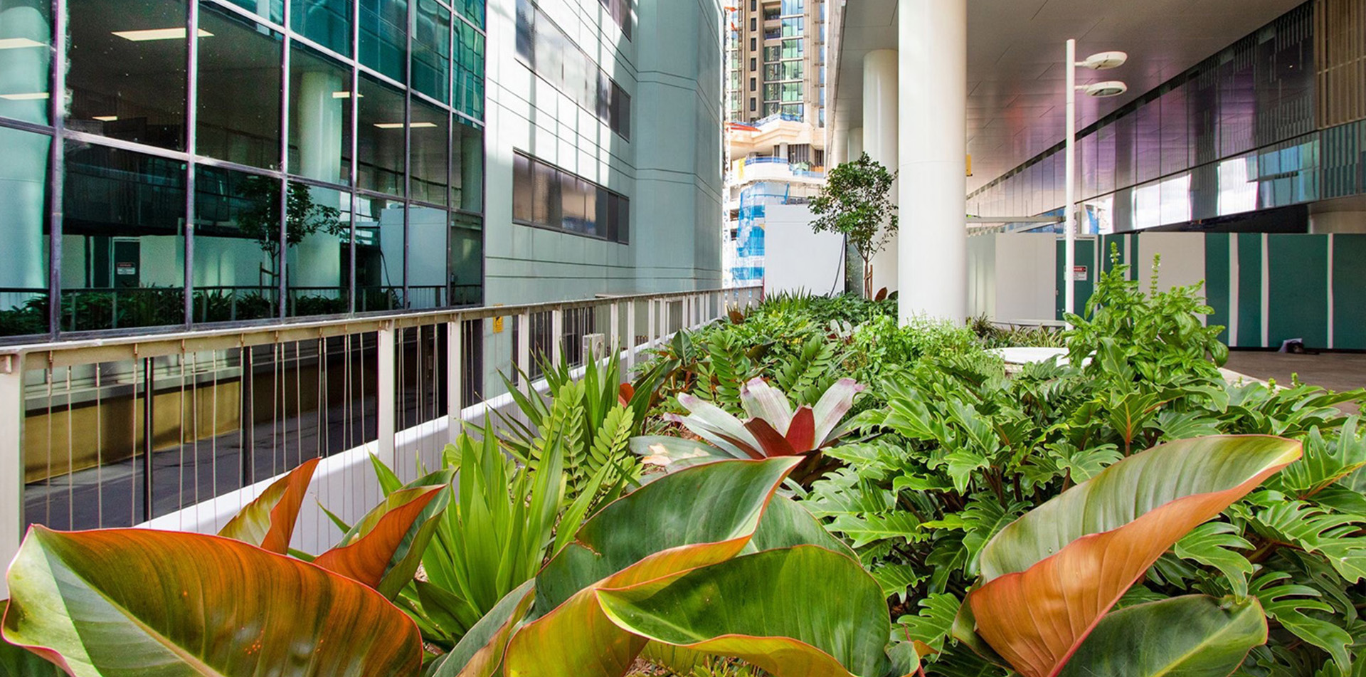 Buildcorp_480 Queen Street Waterproofing_1080x1280 (3)