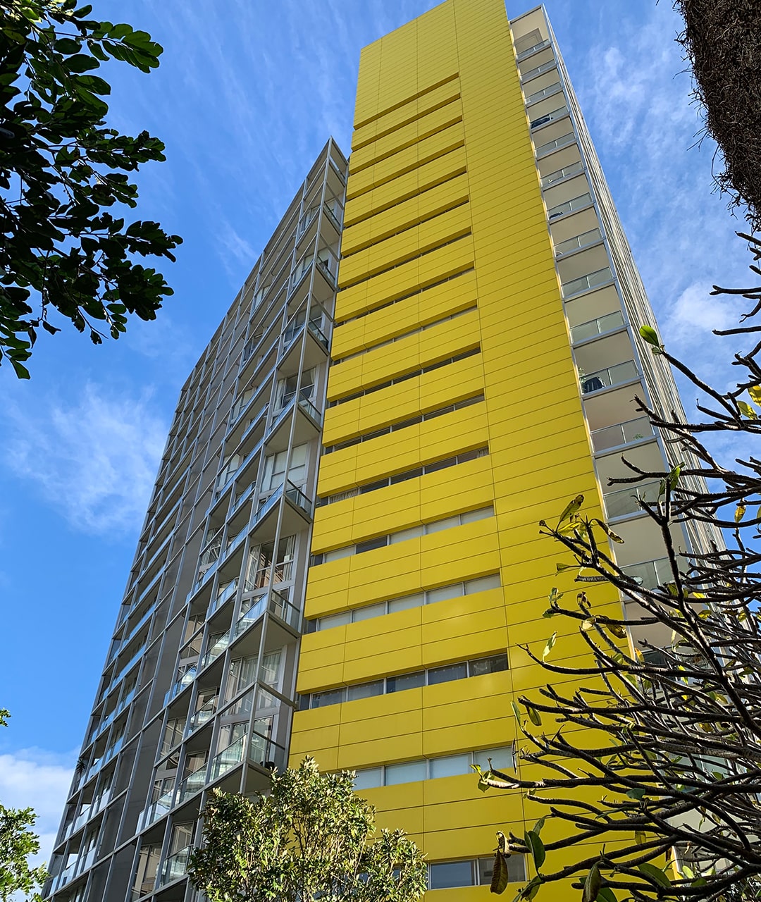 Buildcorp_Facade_Residential_45BowmanSt_1080x1280_5-min