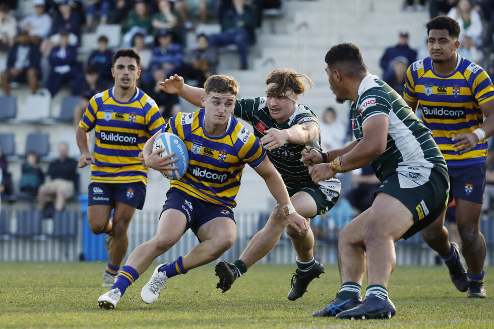 Shute Shield 2023