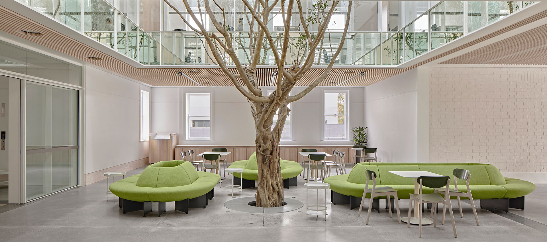 Buildcorp_Sustainability_Tree_in_Room_1920x850