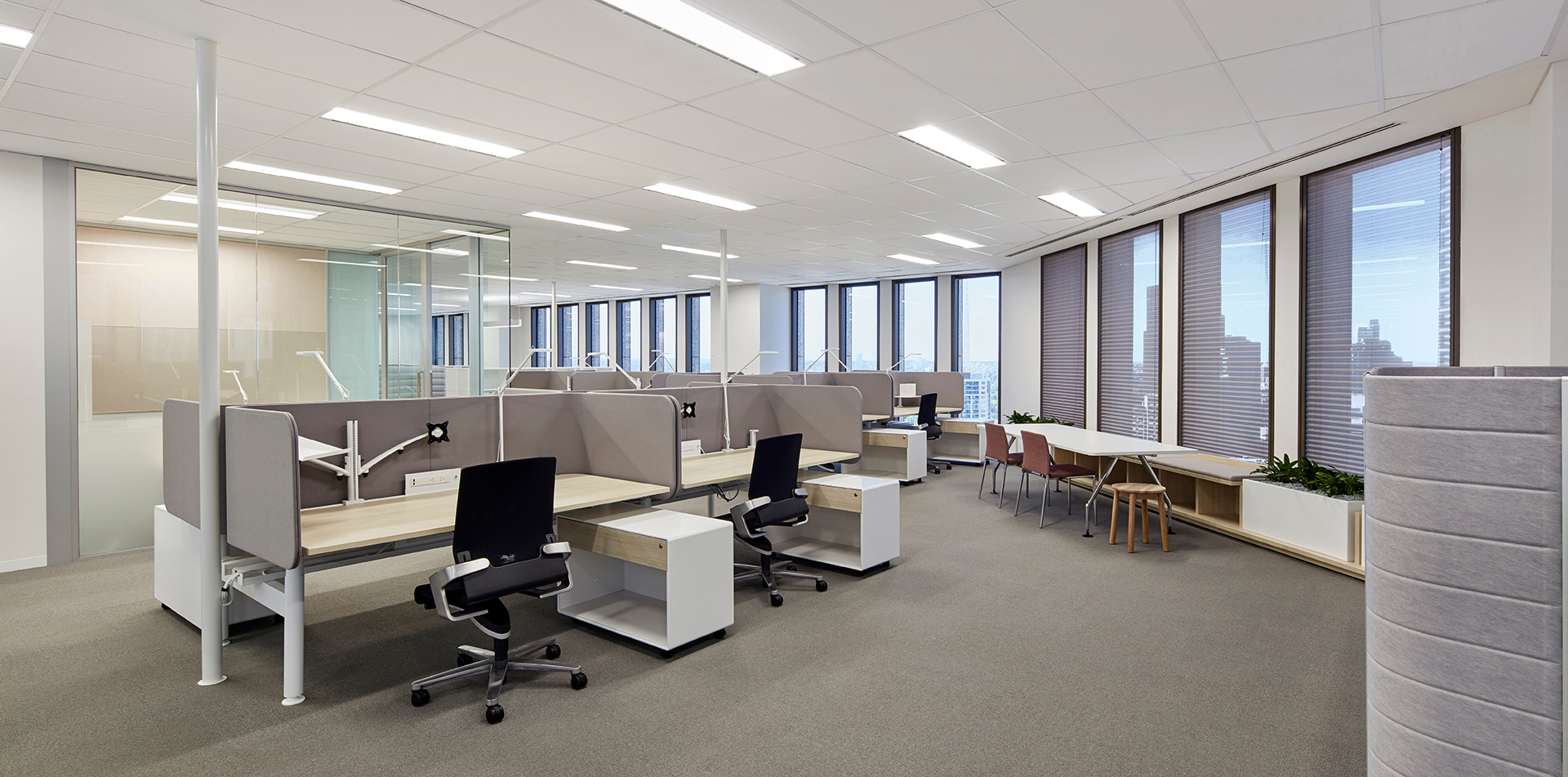 Buildcorp_Workplace_Major_Clayton_Utz_3