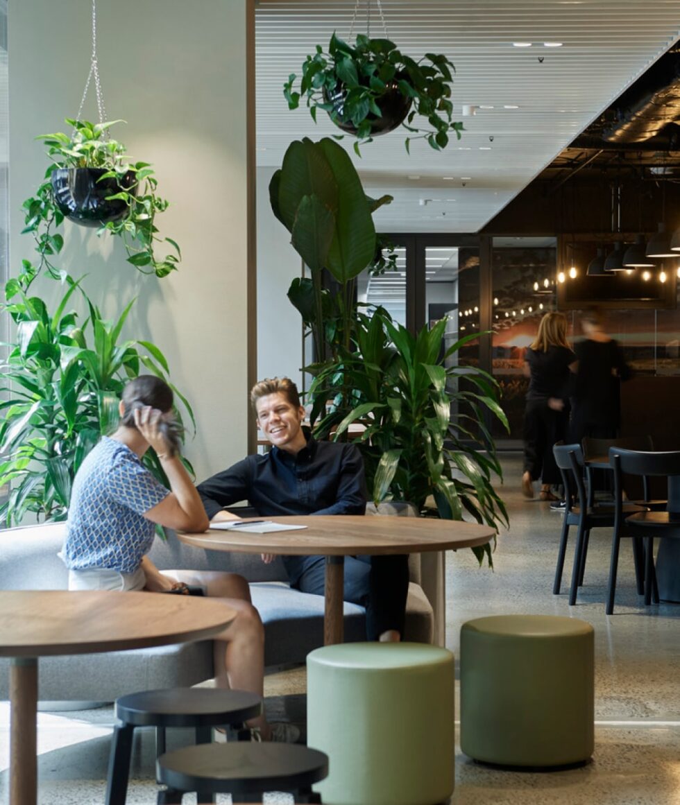 Buildcorp_Workplace_Major_Treasury_Wine_Estate_10-min