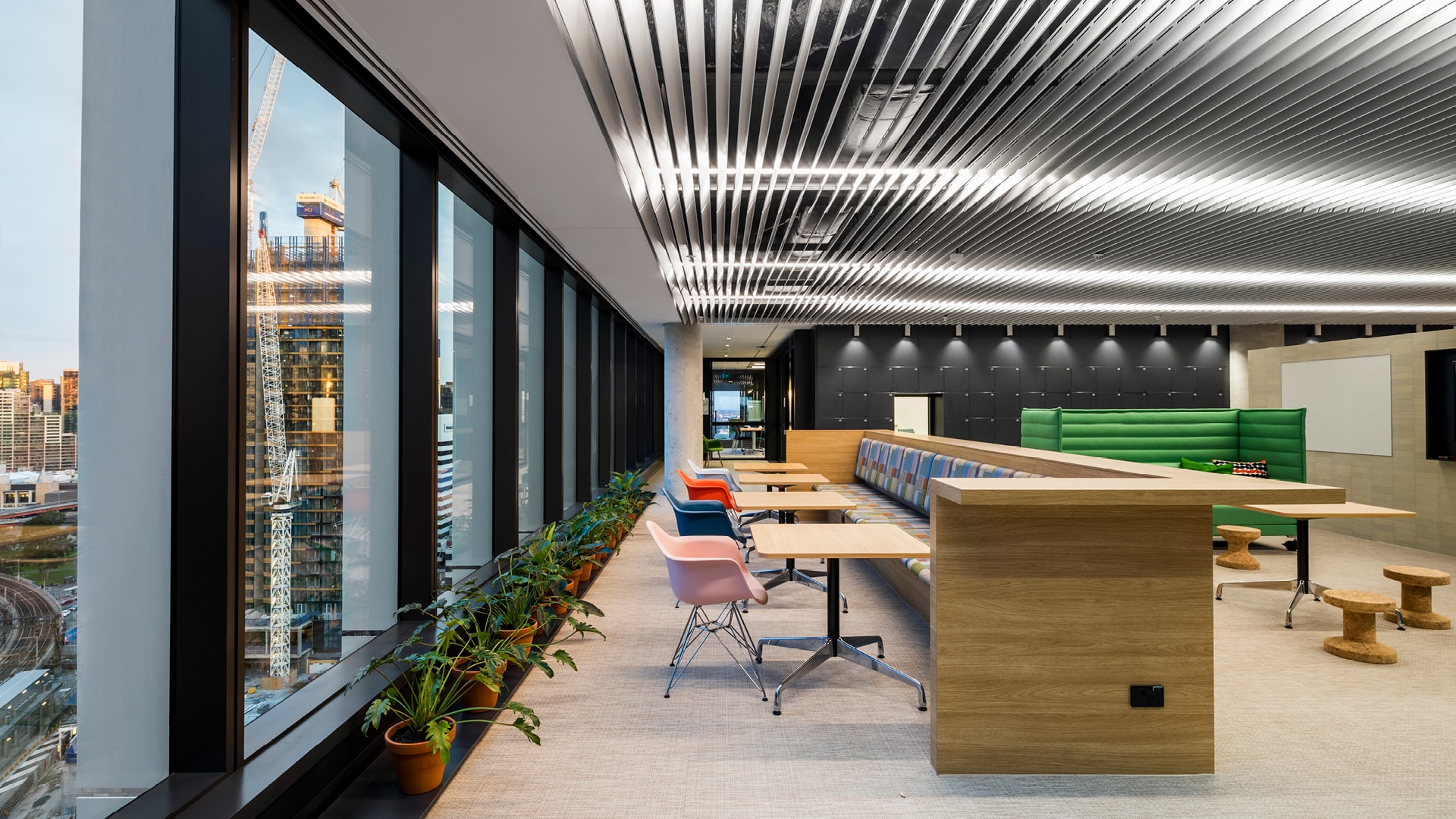 Buildcorp_Workplace_Major_AMP_11-min