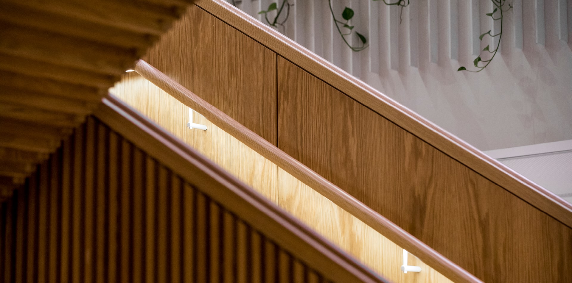 Buildcorp_Workplace_Major_AMP_6-min