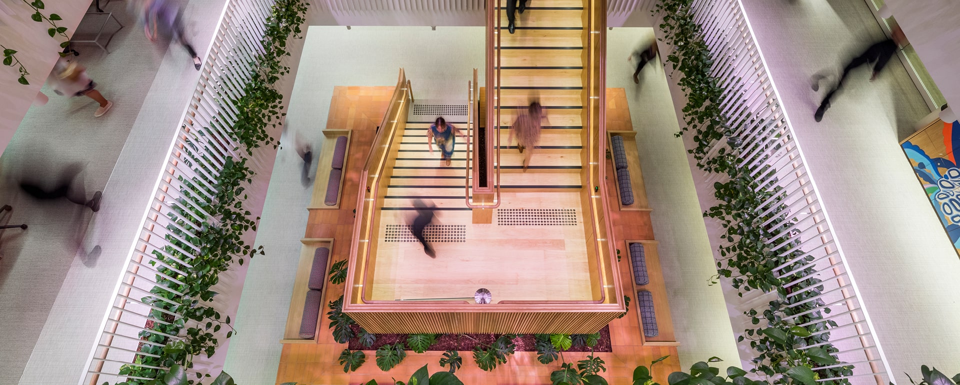 Buildcorp_Workplace_Major_AMP_hero-min