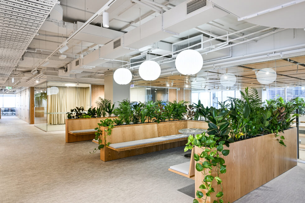 Euroline_1151_100 Mount Street_3