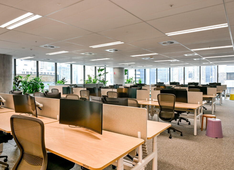 Seek Brisbane_1920 x 1398