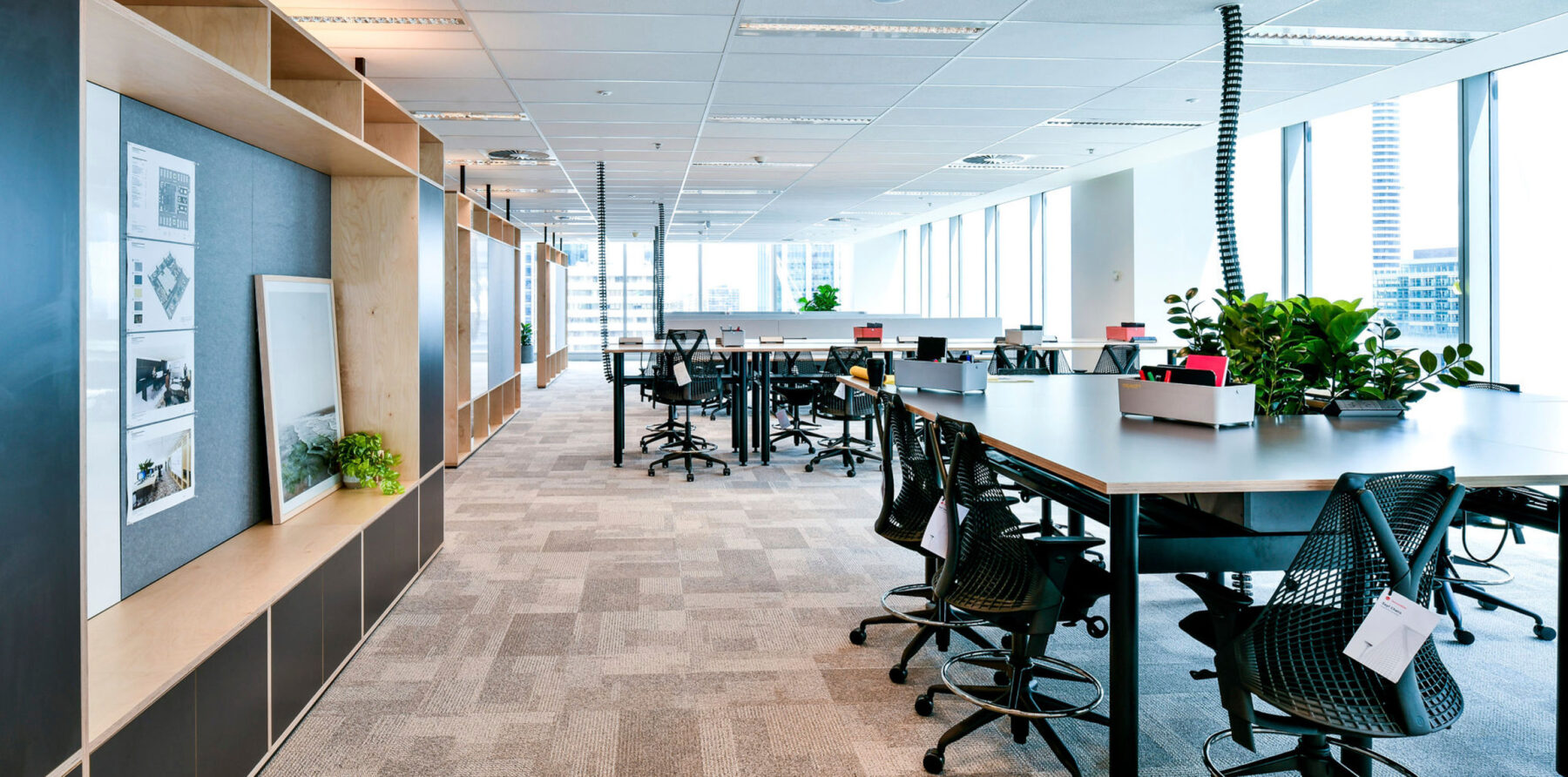 dexus spec_1920 x 9513